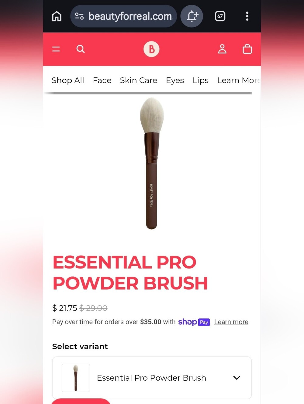 Beauty For Real Essential Pro Powder Brush — NEW